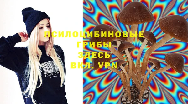 стафф Горняк