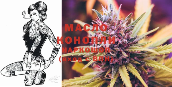 крисы Вязьма