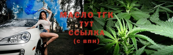 крисы Вязьма