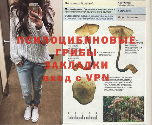 скорость Горно-Алтайск